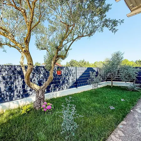 Holiday home Tina & Tino By Interhome Brisevo